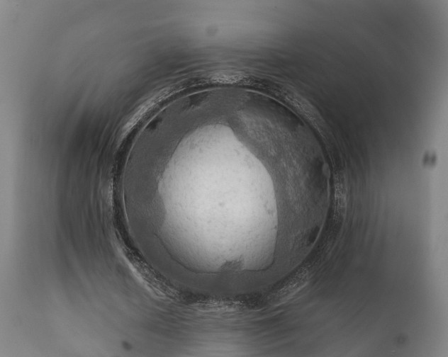 X0000112090626200908111354