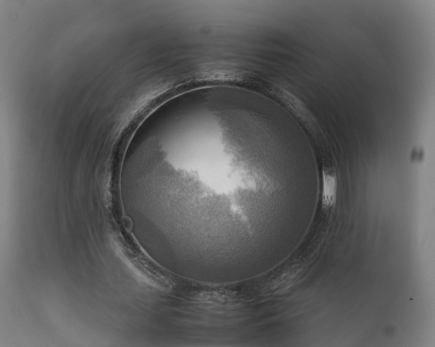 X0000112090627200908111354