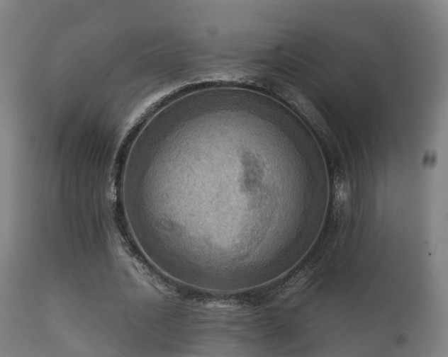 X0000112090628200908111354