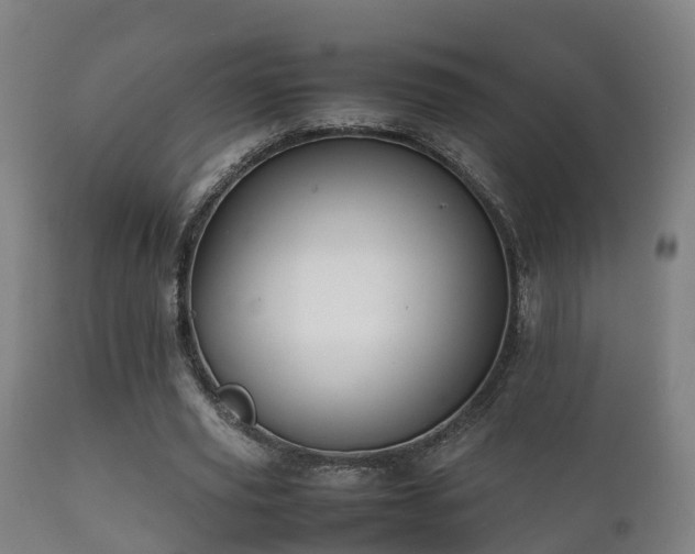 X0000112090629200908111354