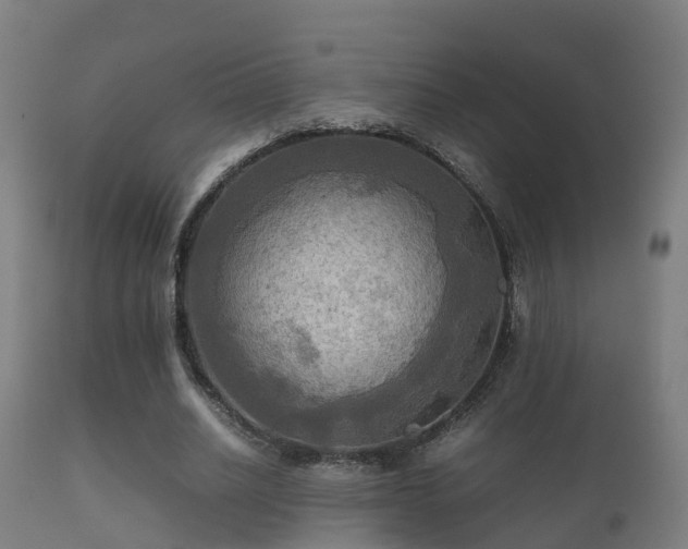 X0000112090630200908111354