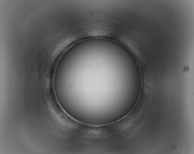 X0000112090631200908111354