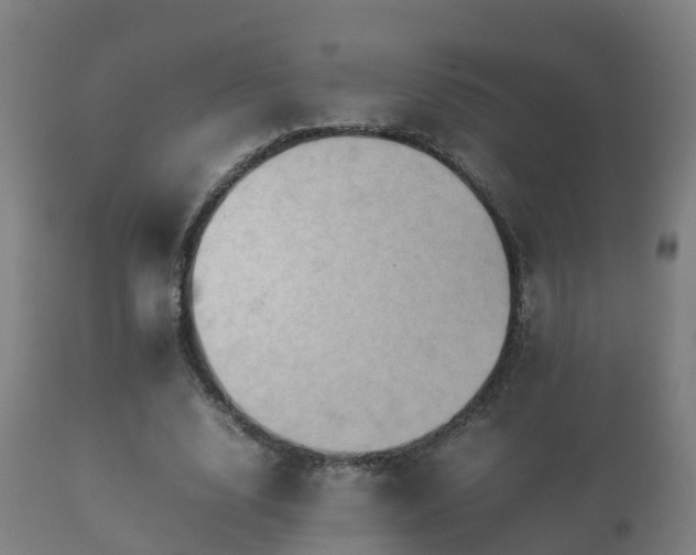 X0000112090632200908111354