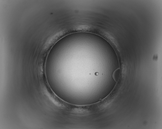 X0000112090633200908111354