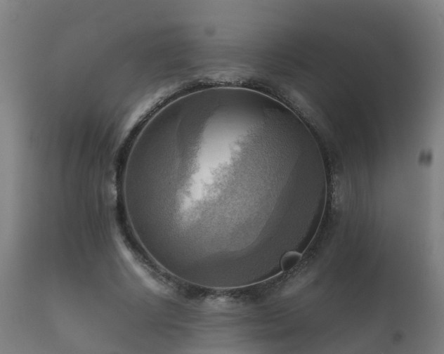 X0000112090634200908111354