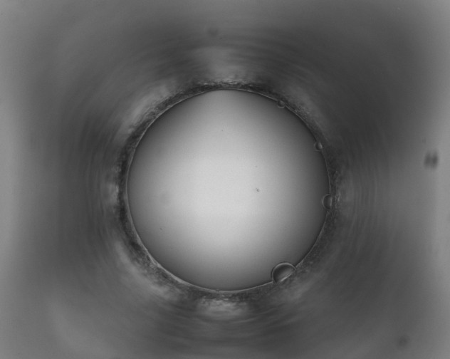 X0000112090635200908111354