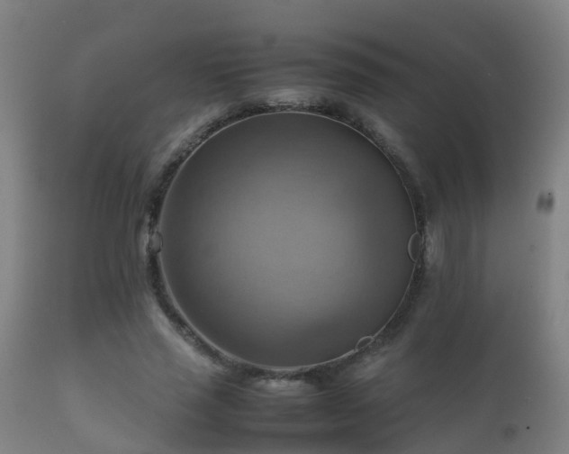 X0000112090637200908111354