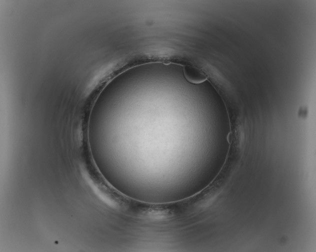 X0000112090638200908111354