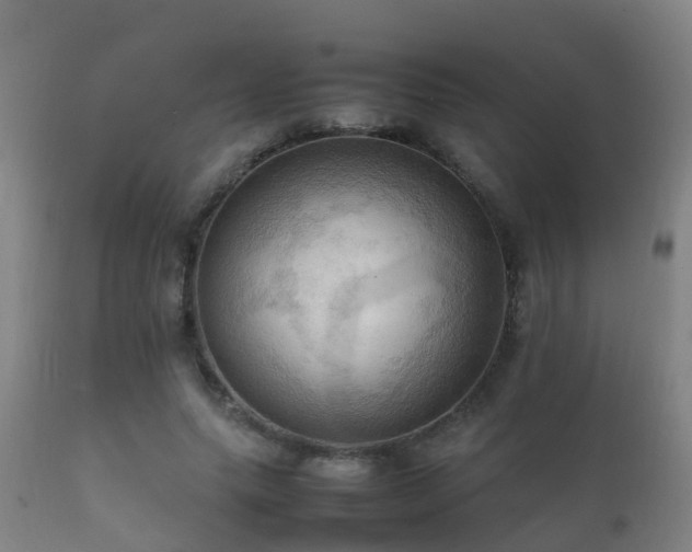 X0000112090639200908111354