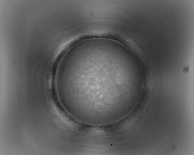 X0000112090640200908111354