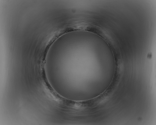 X0000112090641200908111354