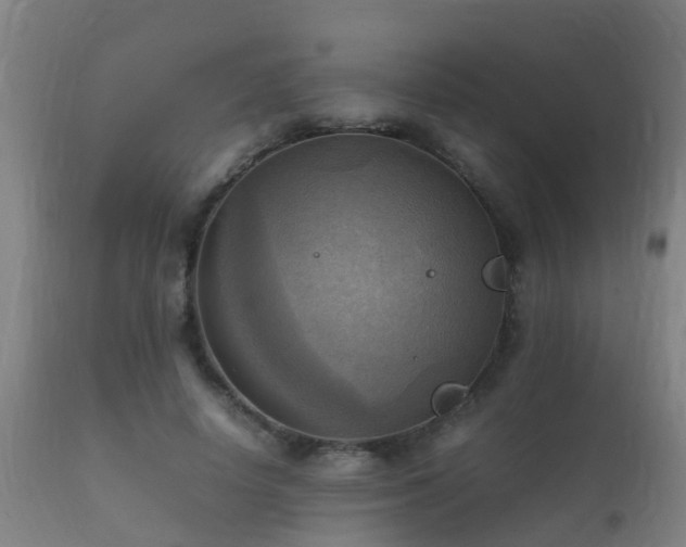 X0000112090642200908111354