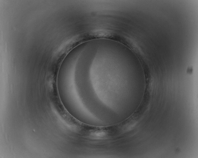 X0000112090643200908111354