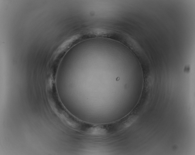 X0000112090644200908111354