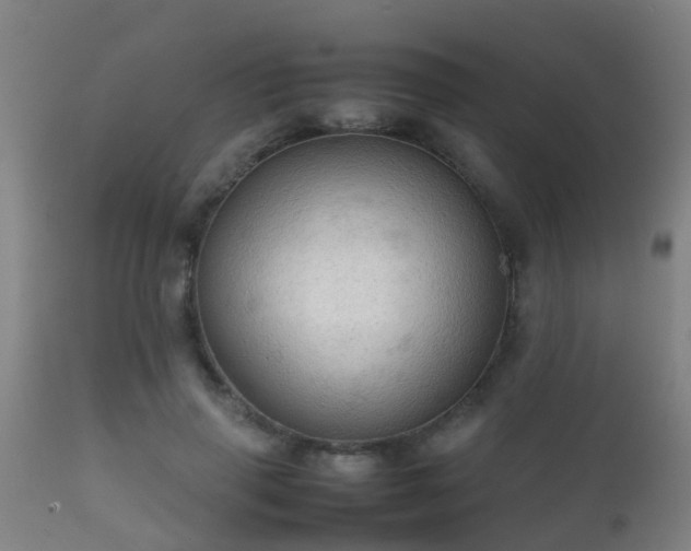 X0000112090645200908111354