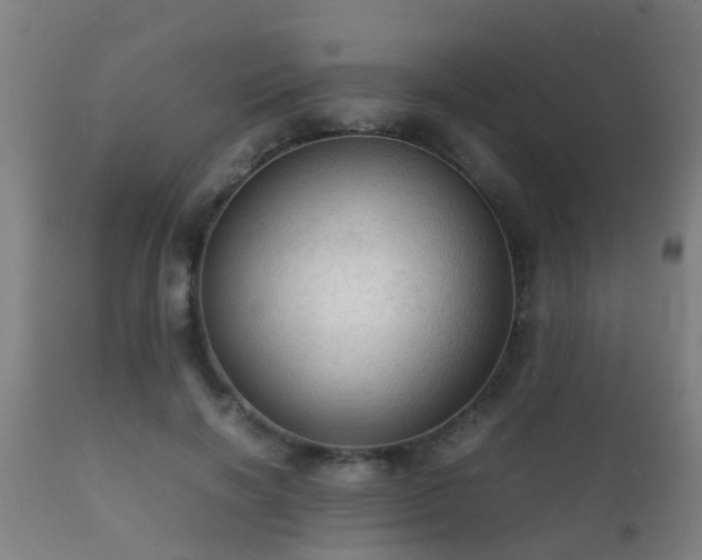 X0000112090646200908111354