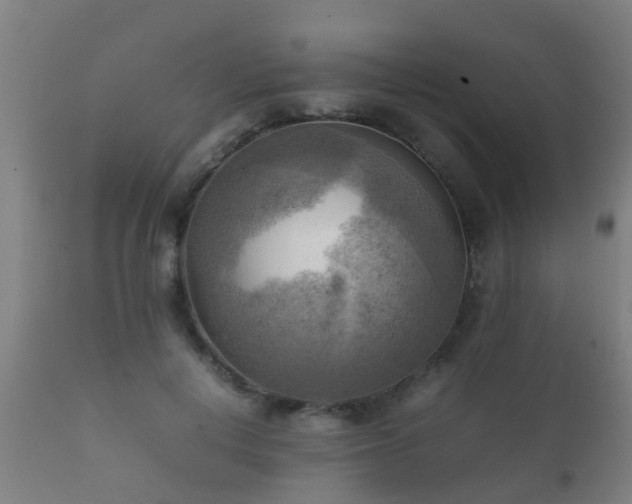 X0000112090648200908111354