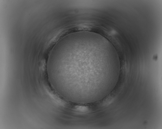 X0000112090649200908111354