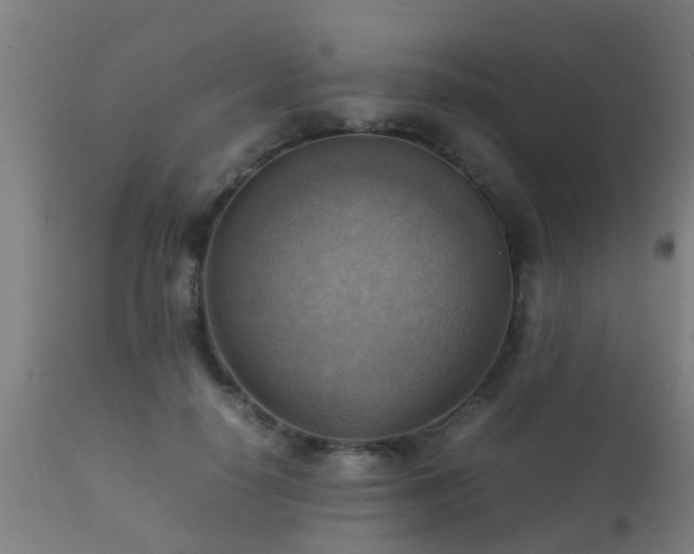 X0000112090650200908111354