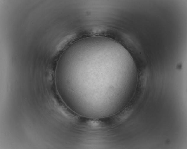 X0000112090654200908111354