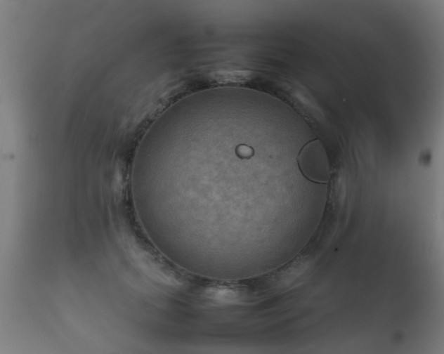 X0000112090655200908111354