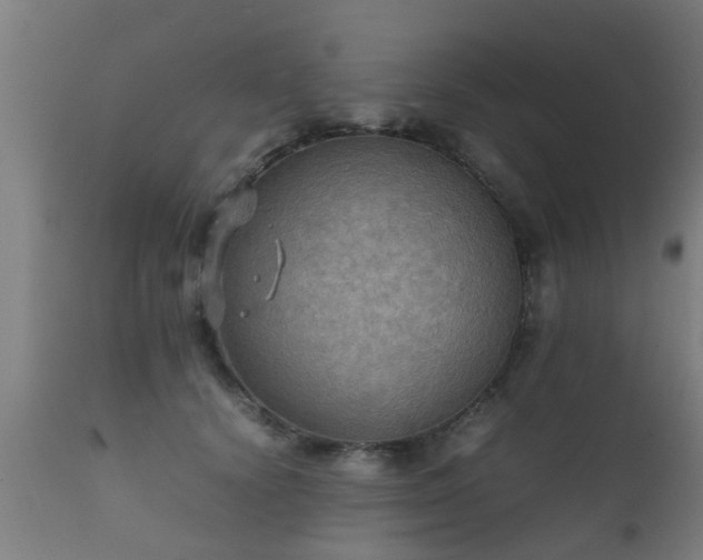 X0000112090656200908111354