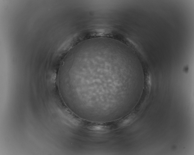 X0000112090657200908111354