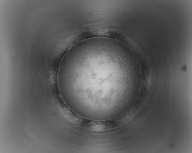 X0000112090658200908111354