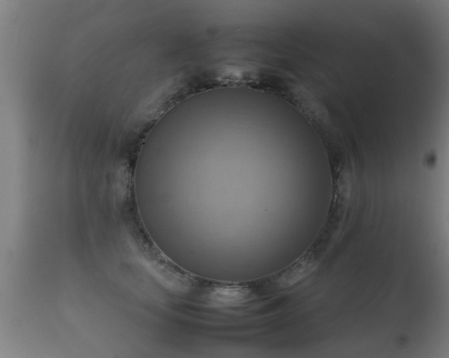 X0000112090659200908111354