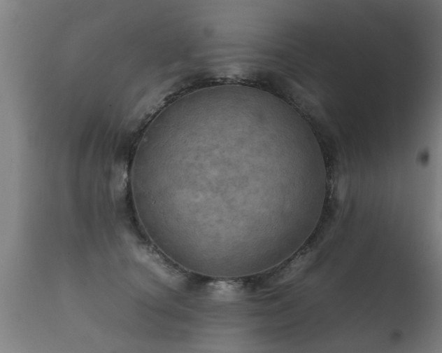 X0000112090660200908111354