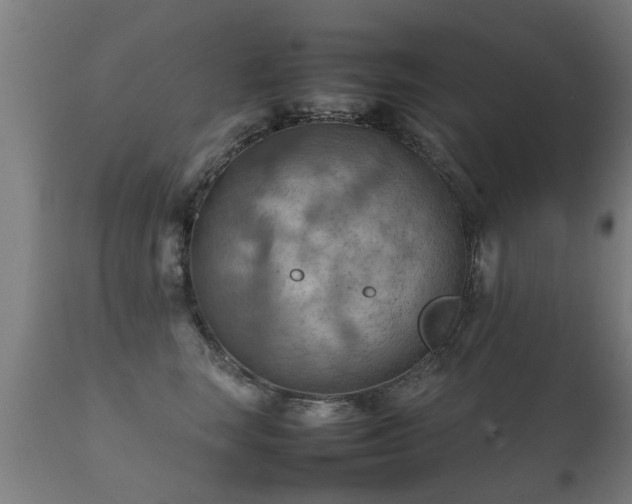 X0000112090663200908111354