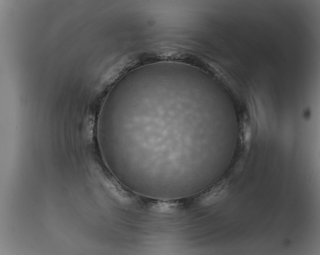 X0000112090664200908111354