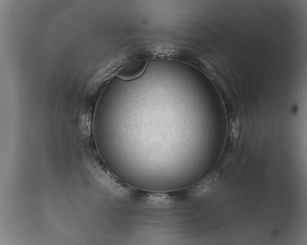 X0000112090666200908111354