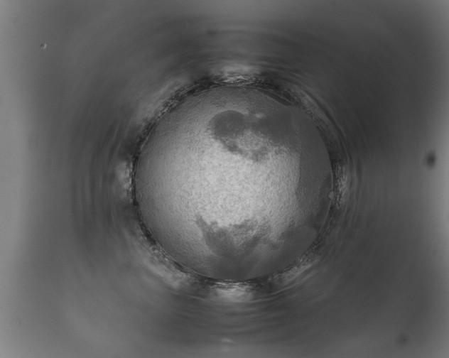 X0000112090667200908111355