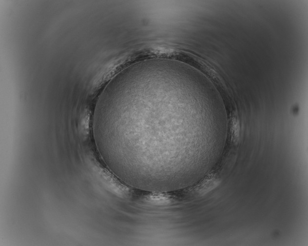 X0000112090668200908111355