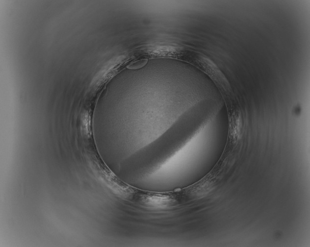 X0000112090669200908111355