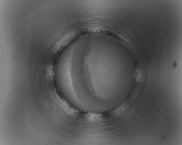 X0000112090670200908111355