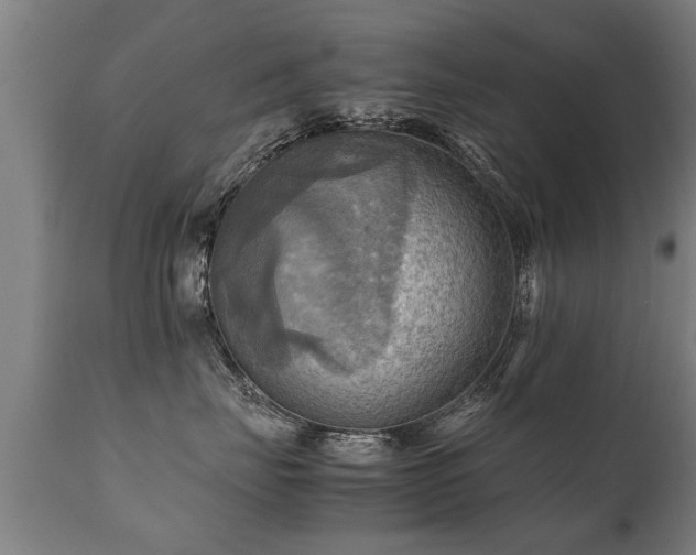 X0000112090671200908111355