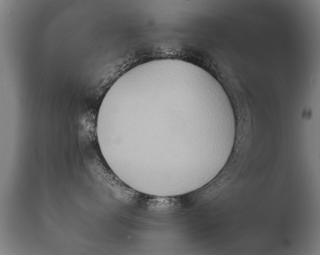 X0000112090672200908111355