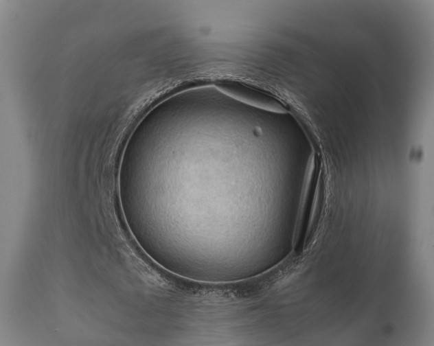 X0000112090673200908111354