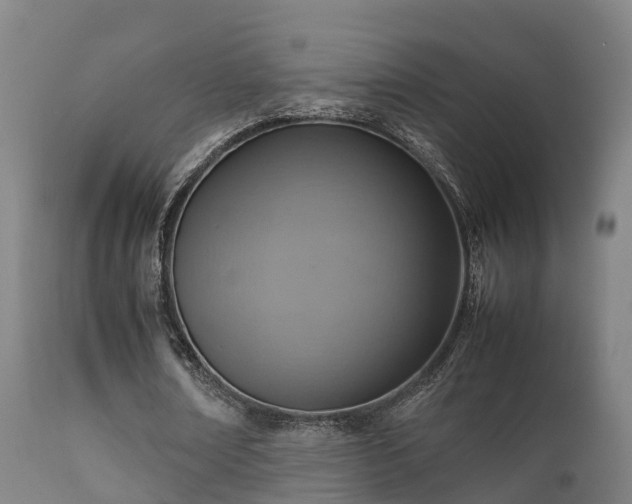 X0000112090674200908111354