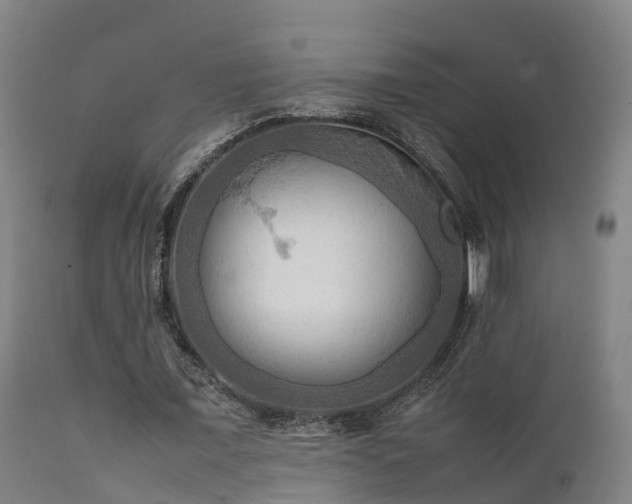 X0000112090675200908111354