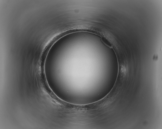 X0000112090676200908111354