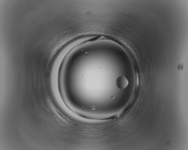 X0000112090677200908111354