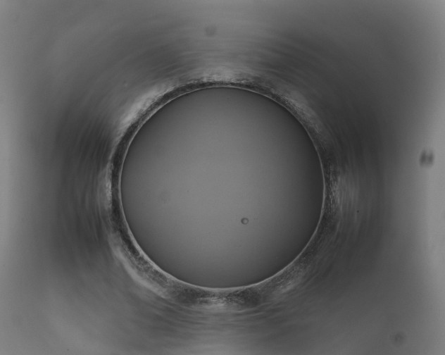 X0000112090678200908111354