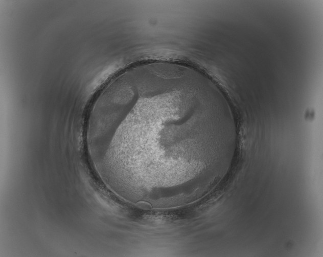 X0000112090679200908111354