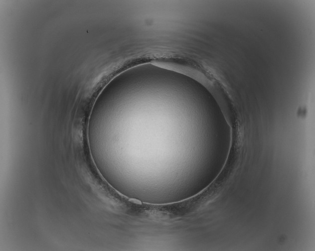 X0000112090681200908111354