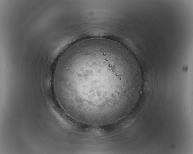 X0000112090683200908111354