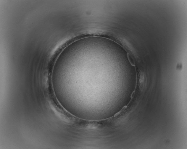 X0000112090684200908111354