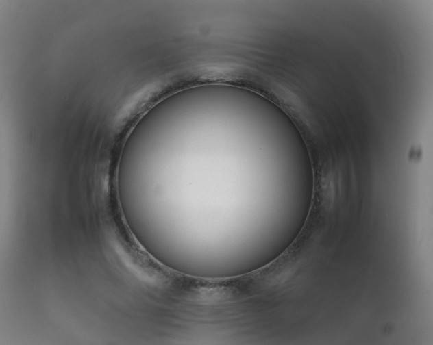 X0000112090686200908111354